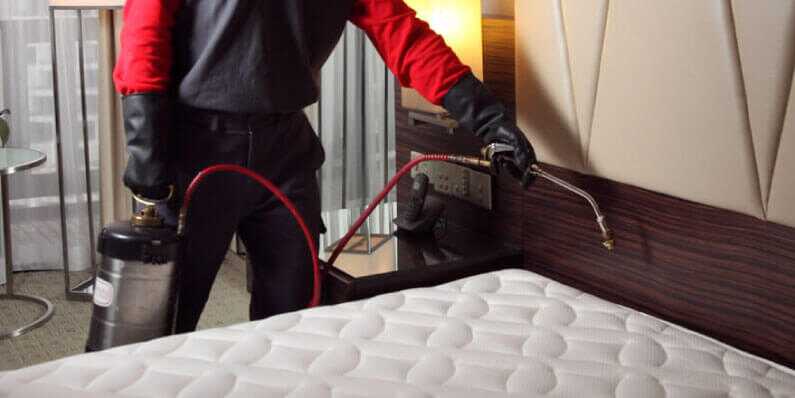 Bed Bug Heat Treatment